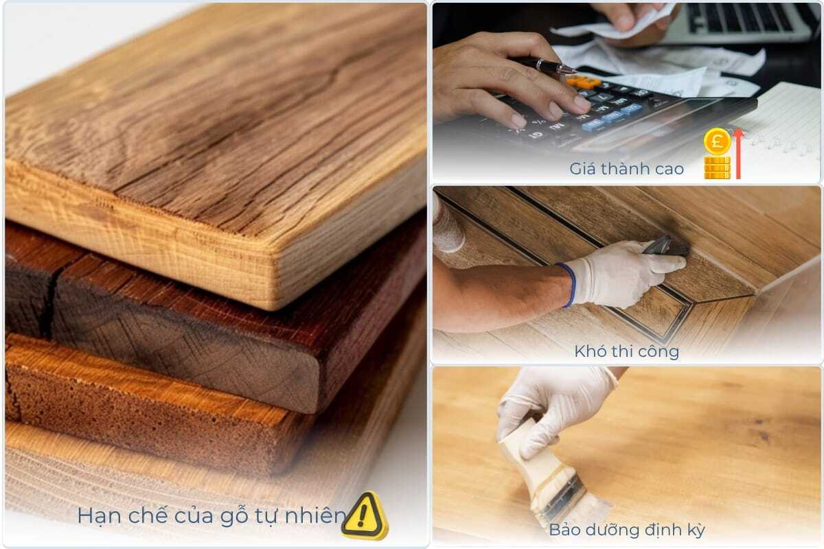 Thiết Kế Nội Thất Chung Cư Gỗ Tự Nhiên: Đẹp? Đắt? Có Đáng? 20 4 hạn chế của gỗ tự nhiên